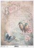  kwiat, ptak, motyl, ćma, ogród, pastelowe tło, list, ręczne pismo, krzew owocowy, drzewo owocowe, R977, flower, bird, butterfly, moth, garden, pastel background, letter, handwriting, fruit bush, fruit tree, Blume, Vogel, Schmetterling, Motte, Garten, pas